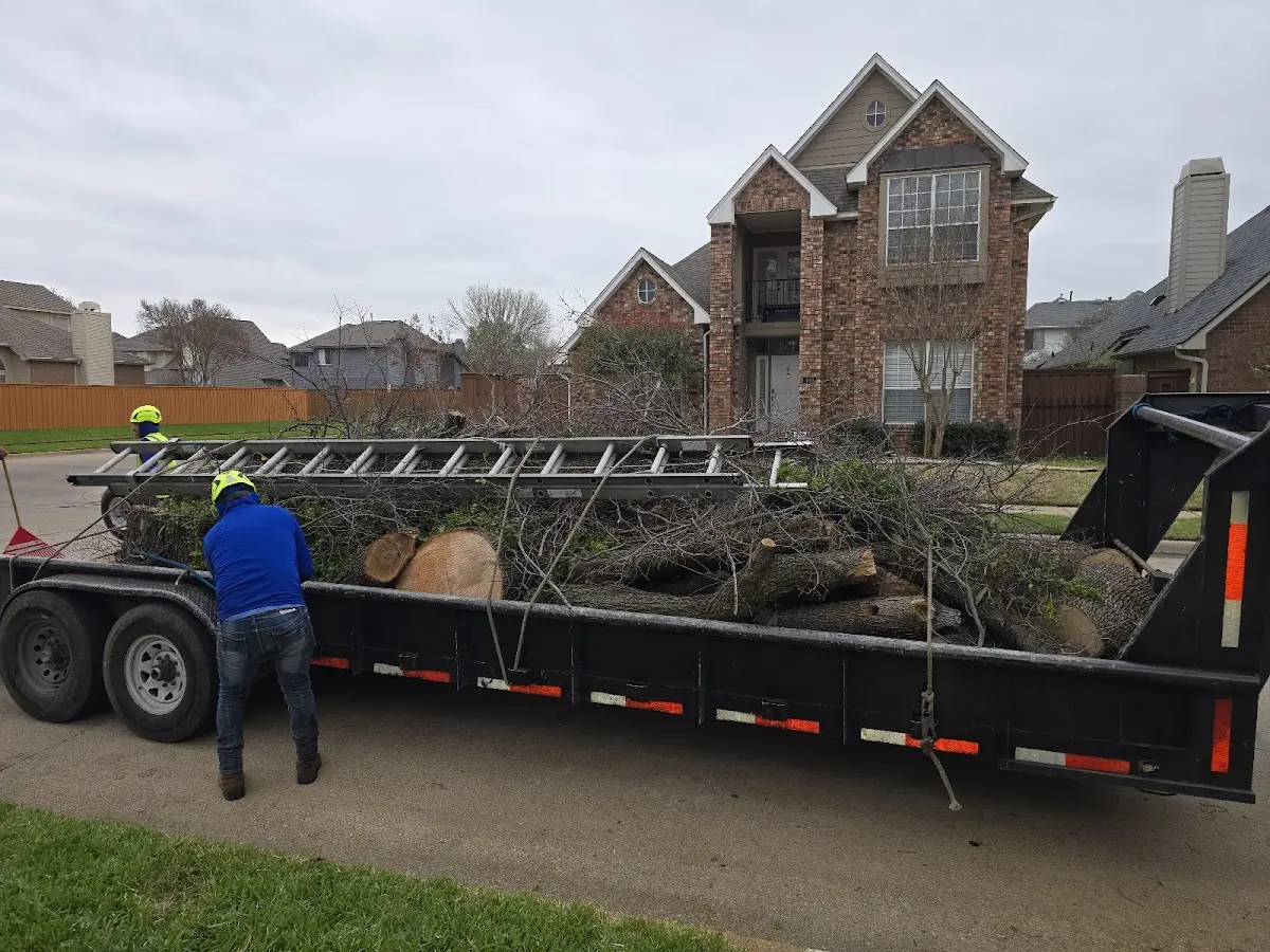 Expert Tree Fertilization with proper safety equipment in Ridgway